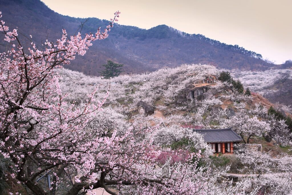 韓国女優が愛用するコスメはどれ？