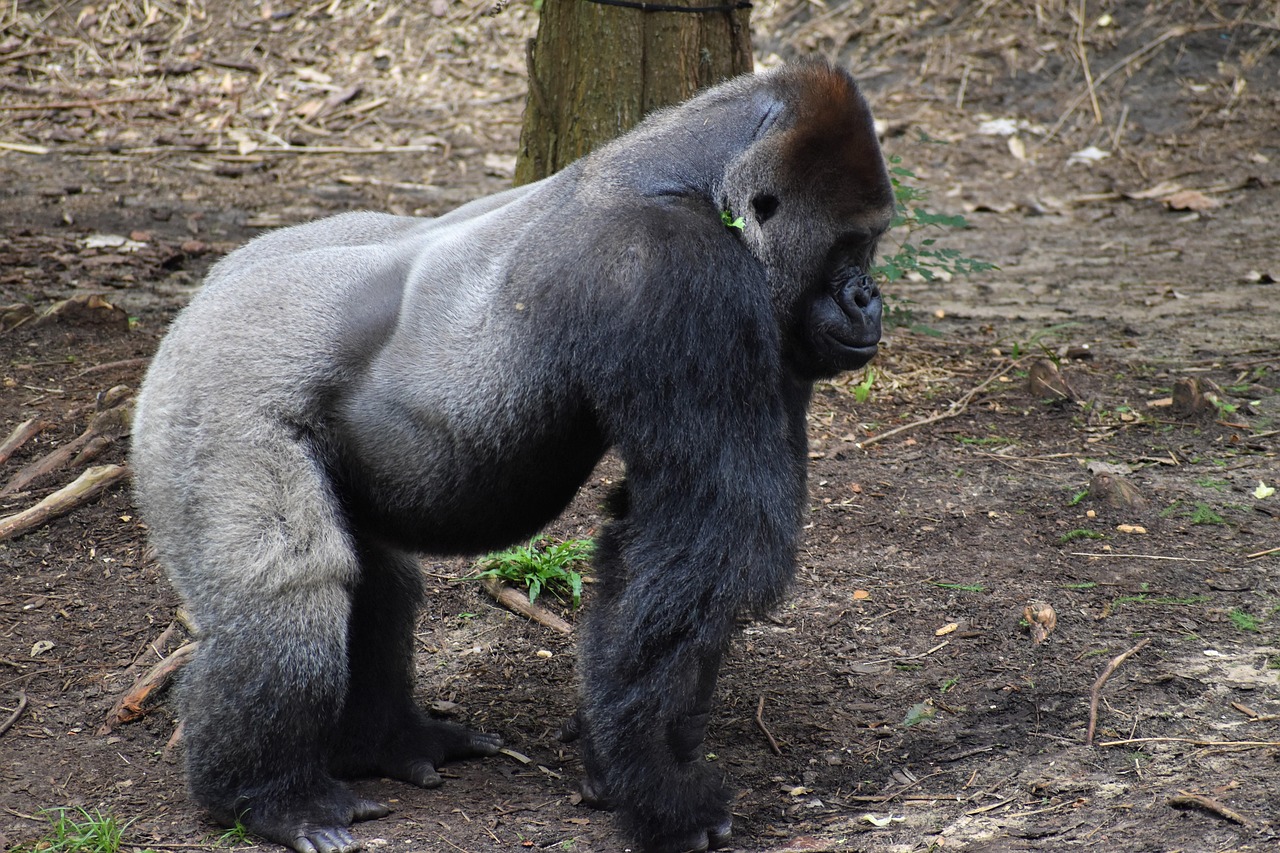 2025年最新の韓国コスメランキングでおすすめの商品は？