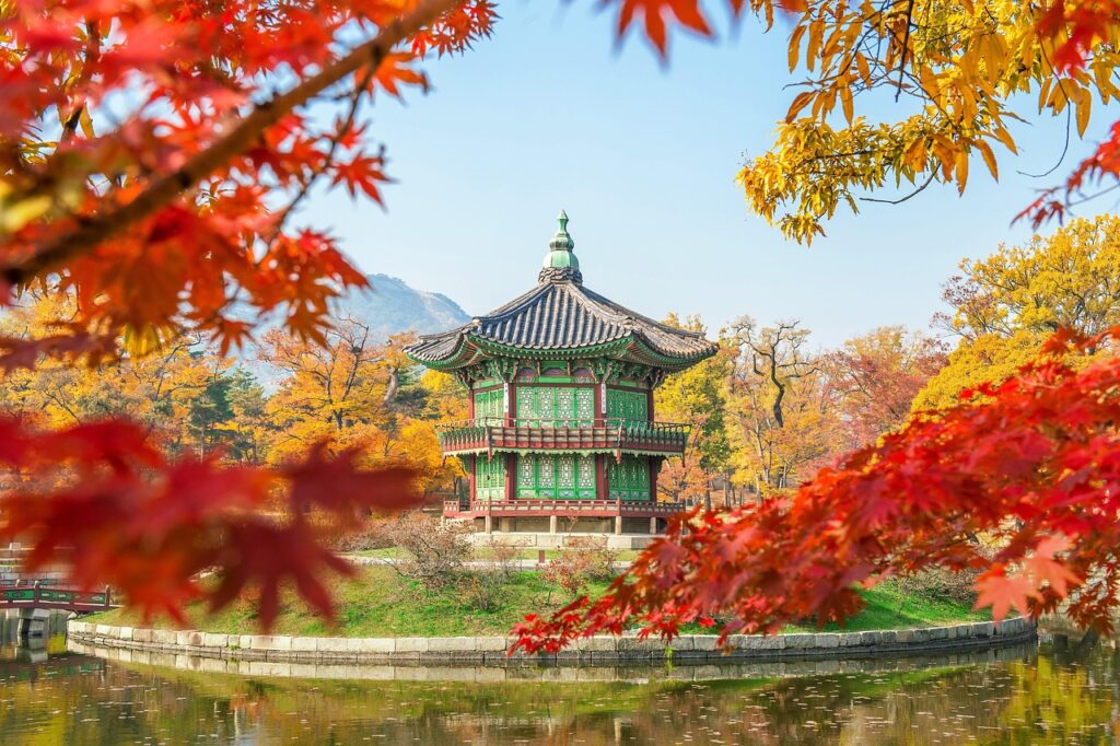 韓国コスメの最新コスパ最強アイテムはこれだ！あなたにぴったりの選び方は？